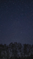 M42 ダイバー1964 2nd エディション F6 デイト 200ｍ RK-AU0602E